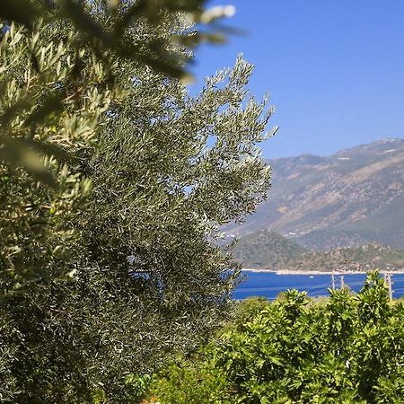 Kaktus Cakil Vila Kas Exterior foto