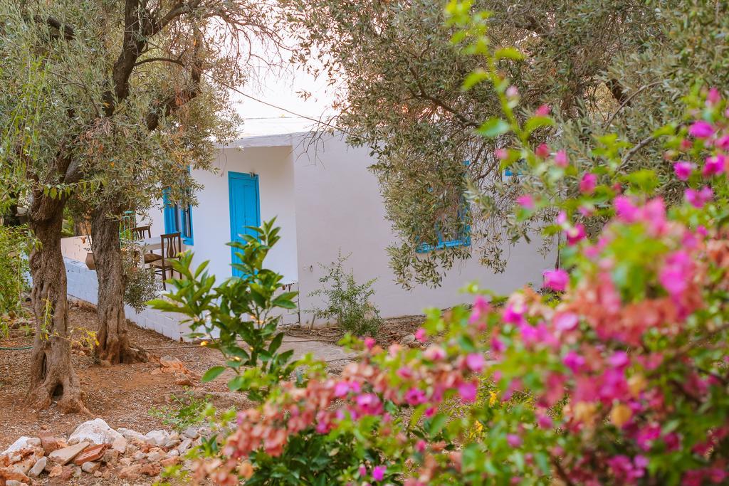 Kaktus Cakil Vila Kas Exterior foto