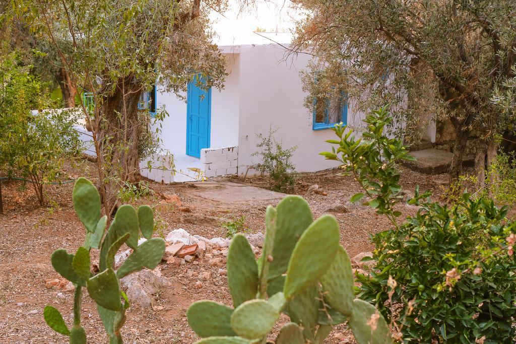 Kaktus Cakil Vila Kas Exterior foto
