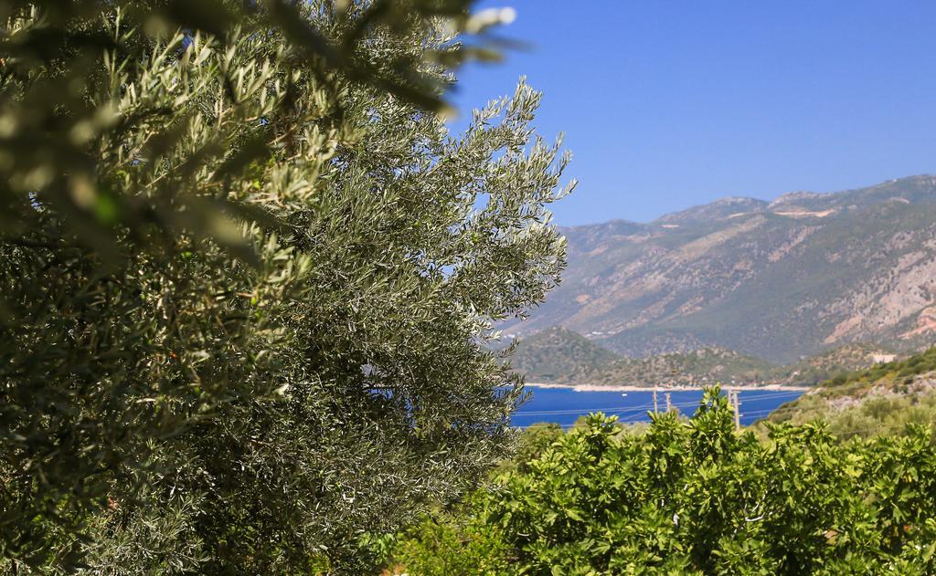 Kaktus Cakil Vila Kas Exterior foto